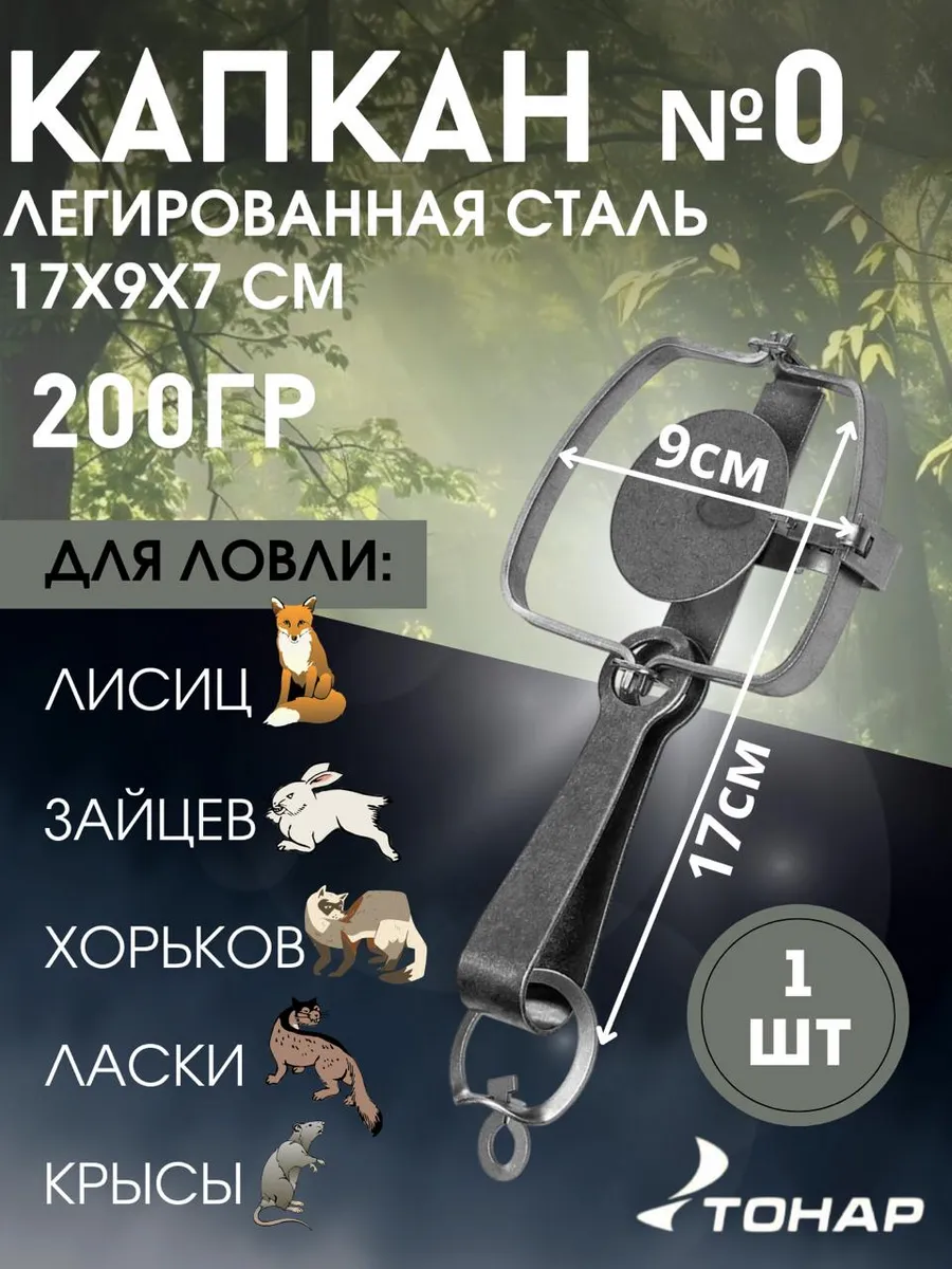 Spa ProBrush